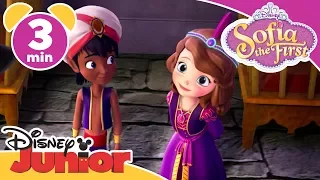 Sofia The First | Pin the Blame on the Genie | Disney Junior UK