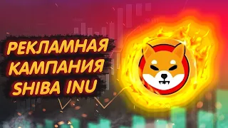 SHIBA INU: КРУПНЕЙШИЙ МАГАЗИН США ЗАПУСТИЛ РЕКЛАМУ ШИБЫ В ЛОС-АНДЖЕЛЕСЕ!/