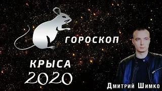 Гороскоп Крыса -2020. Астротиполог, Нумеролог - Дмитрий Шимко