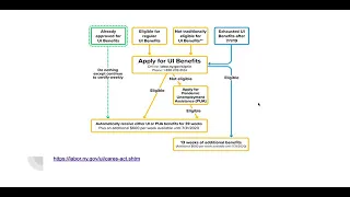 SBU Webinar - NYC Resources During COVID-19 Pandemic - English