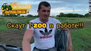 Мототрактор Скаут Т-200 в РАБОТЕ !!! Вспашка огорода фрезой