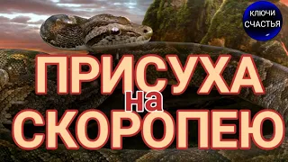 Любовная присуха через острую тоску  - видеообряд мастер Katja, секреты счастья