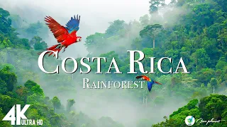 Costa Rica Rainforest 4k - Relaxing Music Along With Beautiful Nature Videos (4K Video Ultra HD)