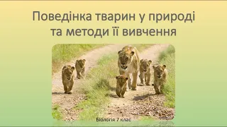 Біологія. Тварини. Поведінка тварин у природі та методи її вивчення