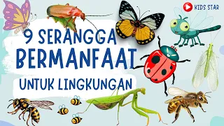 SERANGGA YANG BERMANFAAT BAGI LINGKUNGAN | BELAJAR NAMA SERANGGA BAHASA INGGRIS | NAMES OF INSECT