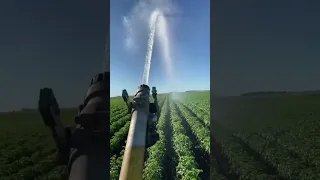 Deutz Fahr is a beast 🔥