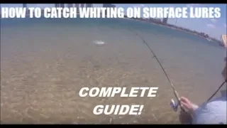 How to catch Whiting on Surface Lures *FULL GUIDE* - technique, areas, gear, lures (Tackle Talk 2)