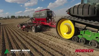 Focus 6TD  Turbo Disc Seed Coulter