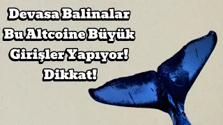 Devasa Balinalar Bu Altcoine Büyük Girişler Yapıyor! Dikkat! | Kripto Haber.