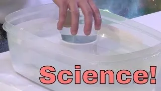 Science Trick - Keep Paper Dry Underwater