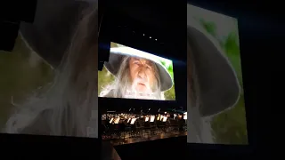 The Lord of The Rings Live-in Concert 1/28/23