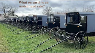 Episode 48: What on Earth is an Amish Mud Sale?