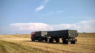 IFA L60 mit HW 80 beim Getreideabfahren