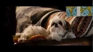 Seven Psychopaths - Official Movie Trailer [HD] 2012