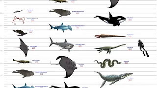 Sea Monsters Size Comparison