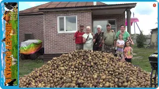 СОБРАЛИ ОГРОМНЫЙ УРОЖАЙ КАРТОШКИ ВСЕЙ СЕМЬЁЙ