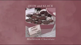 Mushroom Chocolate - QUIN and 6LACK (slowed)