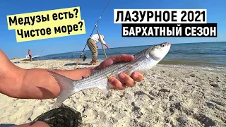 Бархатный сезон. Лазурное 2021. На острове Джарылгач. Ловля кефали в Черном море