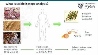 DIET IN TRANSITION: STABLE ISOTOPE ANALYSIS OF HUMANS AND ANIMALS FROM MEDIEVAL SICILY