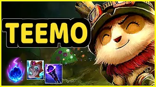 TEEMO VS XIN ZHAO JUNGLE GAMEPLAY