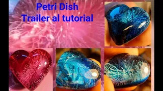 Petri Dish by Ecco Mauro. Trailer al video tutorial