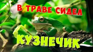 "В траве сидел кузнечик" на новый лад