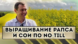 Выращивание рапса и сои по No-Till