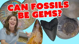 Unboxing Dinosaur Fossils - Teeth, Bone, Egg & More!