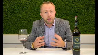 Wine Minutes | Какое вино выбрать из Бордо?