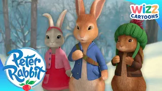 @OfficialPeterRabbit - Tales of Family & Friendship | Action-Packed Adventures! | Wizz Cartoons