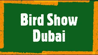 Bird Show - Creek Park, Dubai