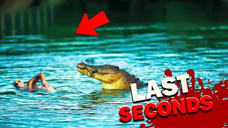 ATTACK By A MASSIVE Saltwater Crocodile - The Horrifying True Story Of Peter Reimers