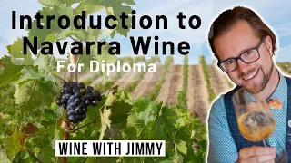 Introduction and History of Navarra Wines for WSET Level 4 (Diploma)