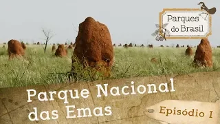 Parque Nacional das Emas | Parques do Brasil