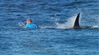 Surfer Attacked By Shark Live On Television