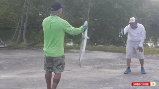 fishing at Black Point Marina Homestead and the keys