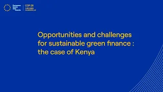 Opportunities and challenges for sustainable green finance : the case of Kenya