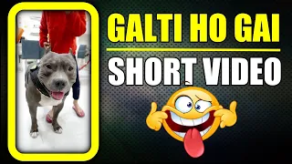 Dil Galti Kar Baitha Hai 😁 | Funny Dog #shorts Video | Harpreet SDC