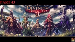 Divinity: Original Sin 2 - Saheila's Rescue Part 1! Part 43