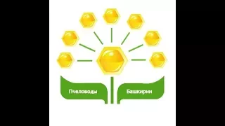 Причины гибели пчелиных семей. Сотников А.Н. (Часть 2)