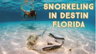 Snorkeling in Destin: An Underwater Adventure