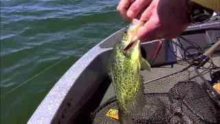 Early Season Crappie Action!