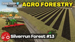 Prepping Land For poplars & Trees Silverrun Forest Farming Simulator 22 Let's Play Episode 13