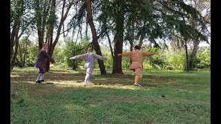 Shaolin Qi Xing Quan Group Performance