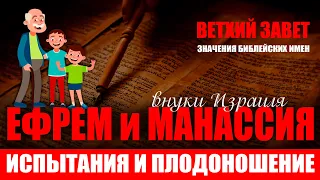 ИСПЫТАНИЯ и ПЛОДОНОШЕНИЕ | Значение имен. Ефрем и Манассия. 12 колен Израиля. Ветхий завет