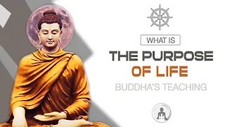 Buddhism: What is The Purpose of Life?