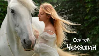 Listen to very beautiful music for 23 minutes 🎶Sergey Chekalin🎶   Collection of songs🎼