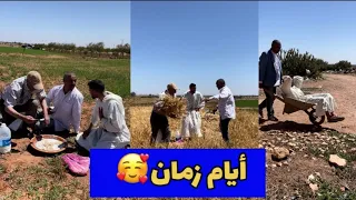 مشينا نحصد زرع مع باا روحاني هرب لينا بي كسرية ديال سيكوك 😤