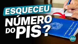 PERDEU O NÚMERO DO PIS? VEJA COMO RECUPERAR USANDO SEU CPF