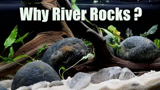 A Whole Bunch of Reasons You Should Be Using River Rocks in Your Aquarium!